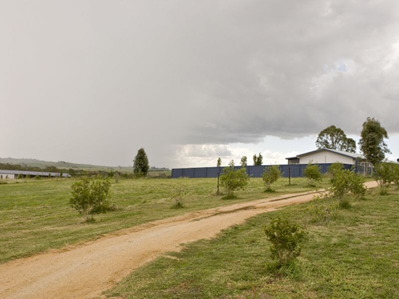 177 Golden Grove Road, Young NSW 2594