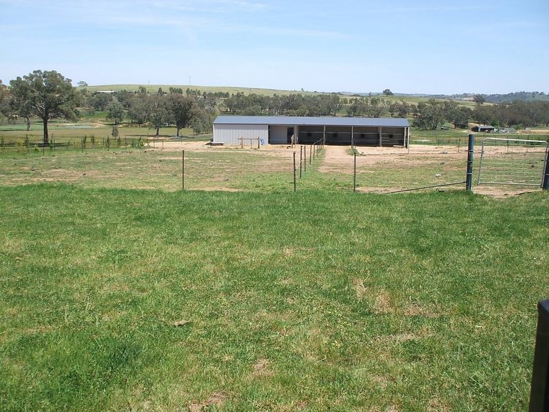 177 Golden Grove Road, Young NSW 2594