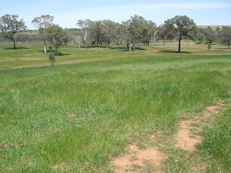 177 Golden Grove Road, Young NSW 2594