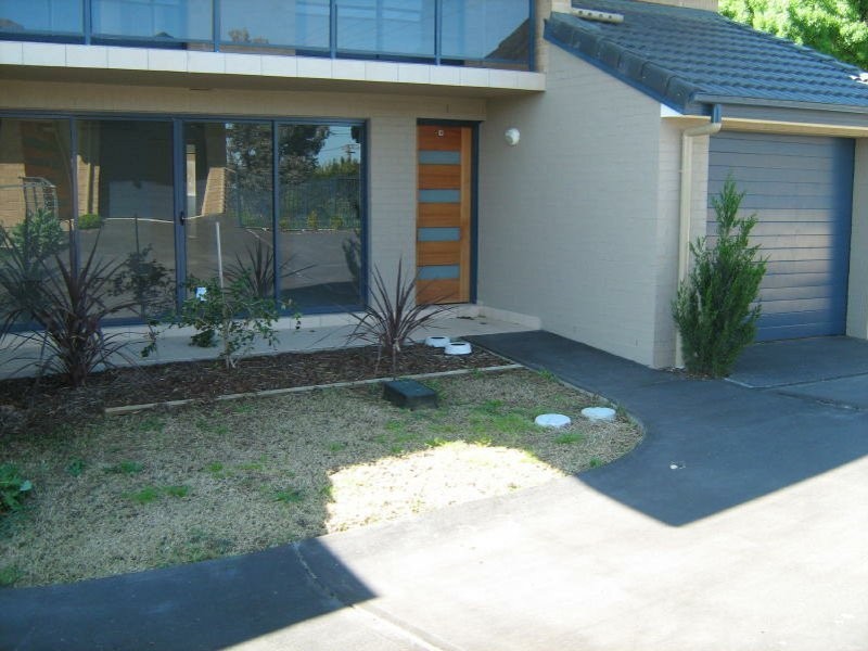 Unit 9/157 William Street, Young NSW 2594