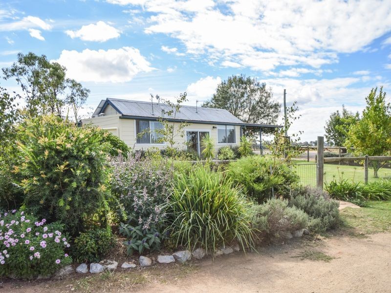 163 Prunvale Rd, Young NSW 2594