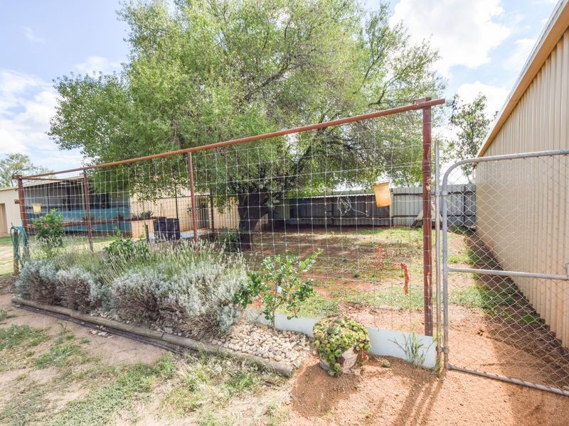 163 Prunvale Rd, Young NSW 2594