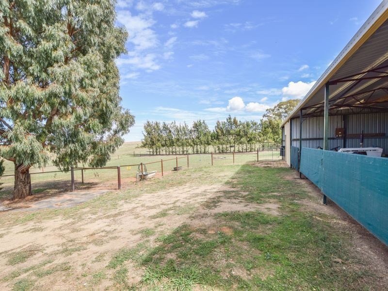 163 Prunvale Rd, Young NSW 2594