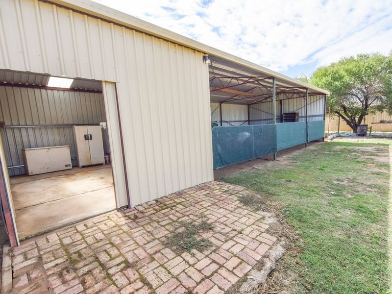 163 Prunvale Rd, Young NSW 2594