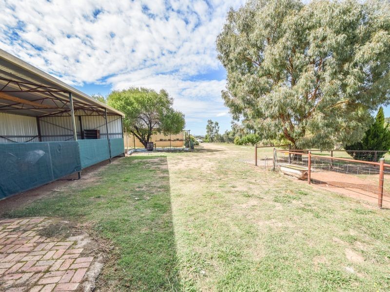 163 Prunvale Rd, Young NSW 2594