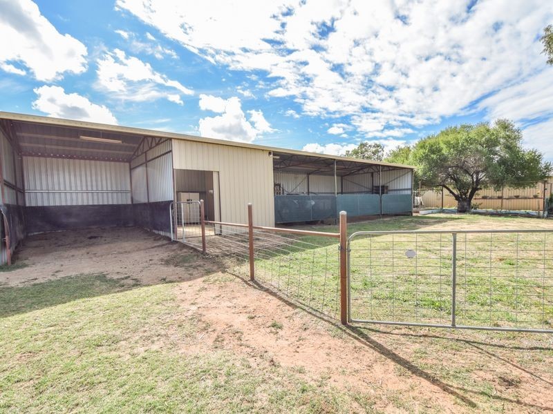 163 Prunvale Rd, Young NSW 2594