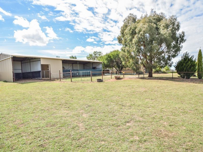 163 Prunvale Rd, Young NSW 2594