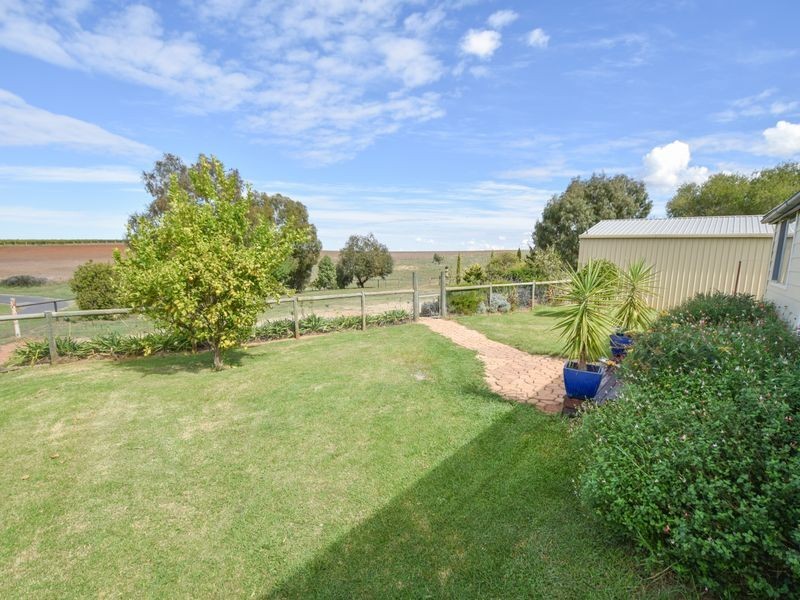 163 Prunvale Rd, Young NSW 2594