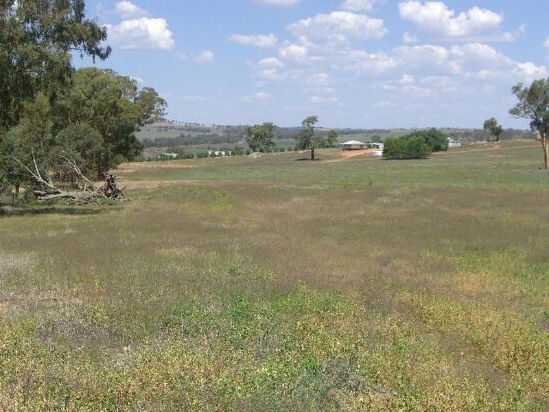 1 Quamby Lane, Young NSW 2594