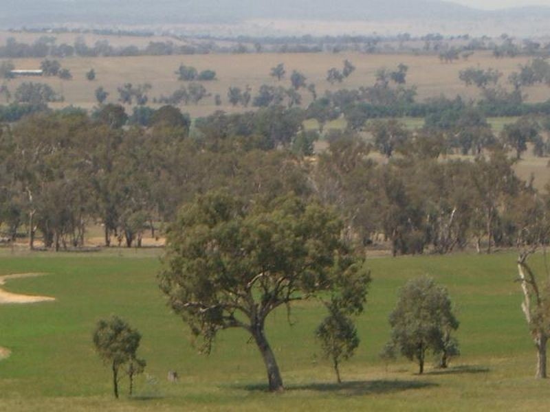 1 Quamby Lane, Young NSW 2594