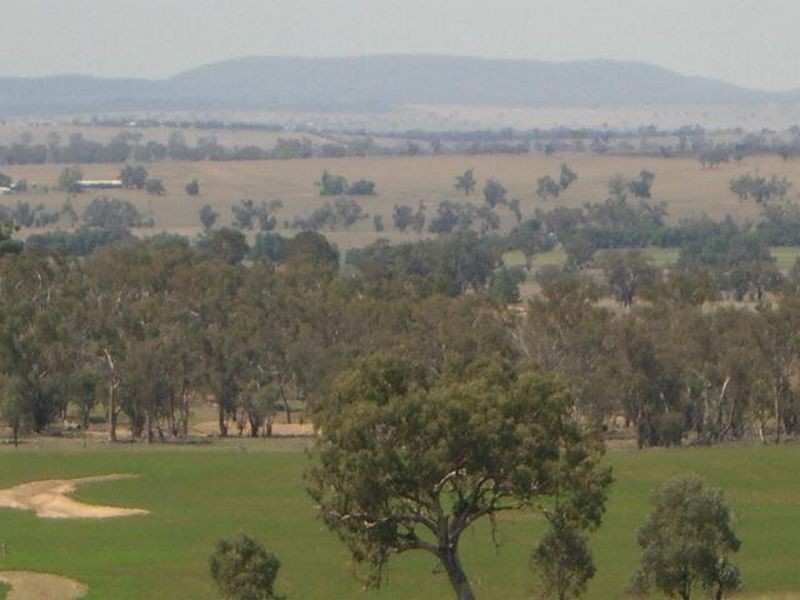 1 Quamby Lane, Young NSW 2594