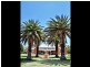 Vernon St, Young NSW 2594