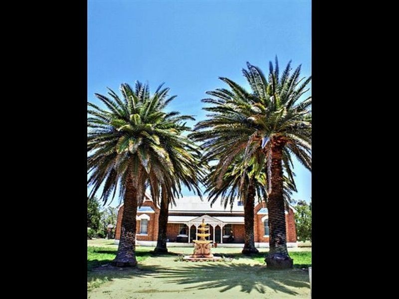 Vernon St, Young NSW 2594