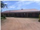 59 Thornell Road, Young NSW 2594