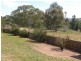 59 Thornell Road, Young NSW 2594