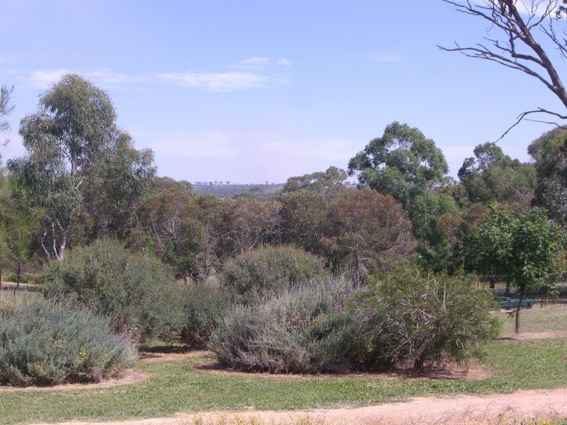 59 Thornell Road, Young NSW 2594