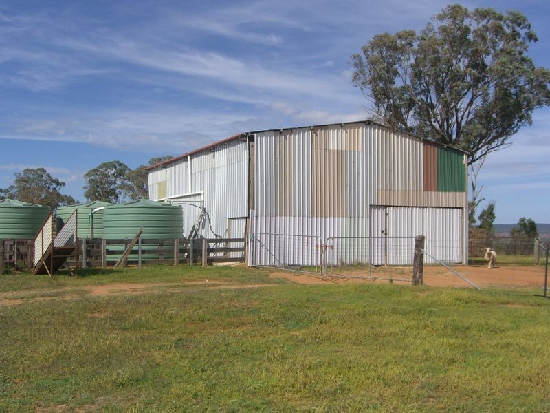 1798 Boorowa Rd, Young NSW 2594