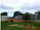 1798 Boorowa Rd, Young NSW 2594