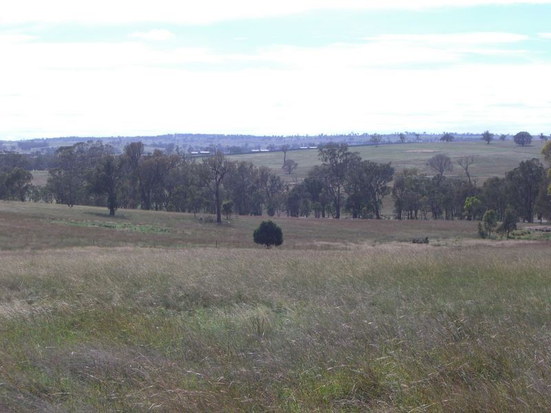 1701 Murringo Road, Young NSW 2594