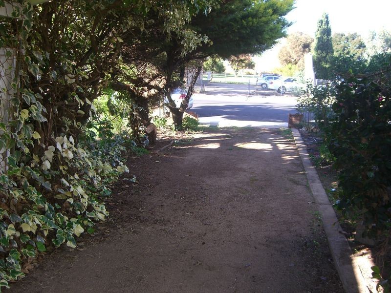 61 William Street, Young NSW 2594