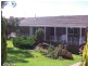 34 Back creek rd, Young NSW 2594