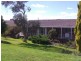 34 Back creek rd, Young NSW 2594