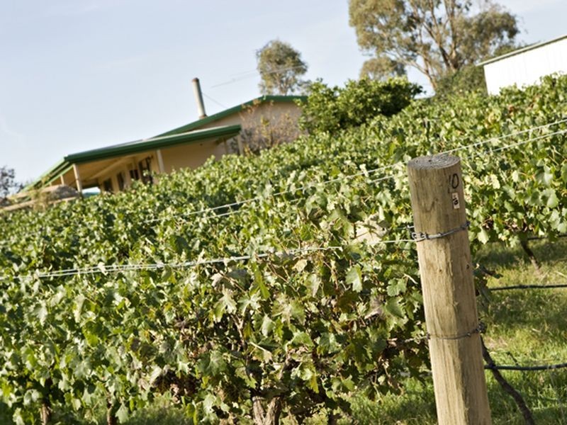 500 Chillingworks Road, Young NSW 2594