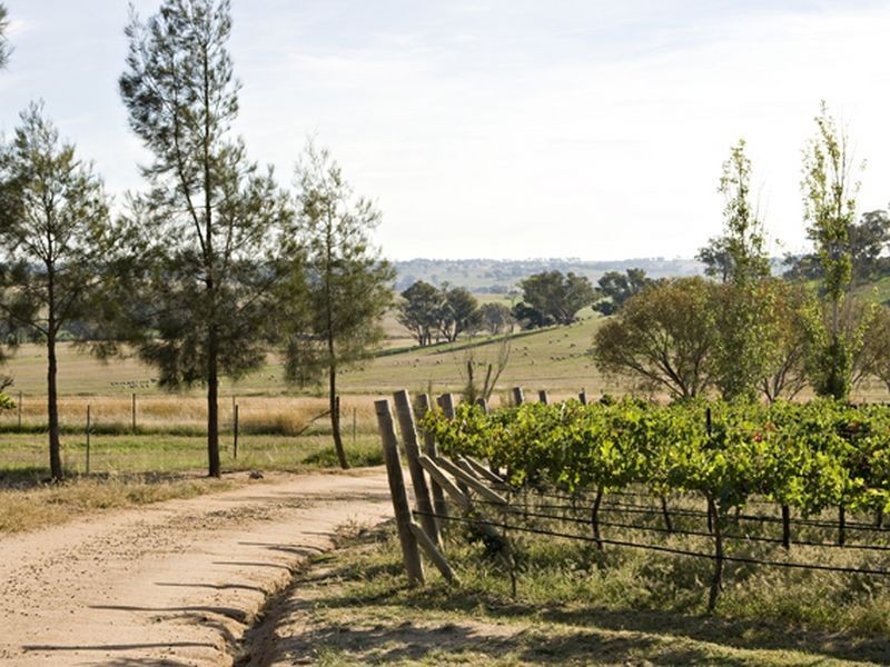 500 Chillingworks Road, Young NSW 2594