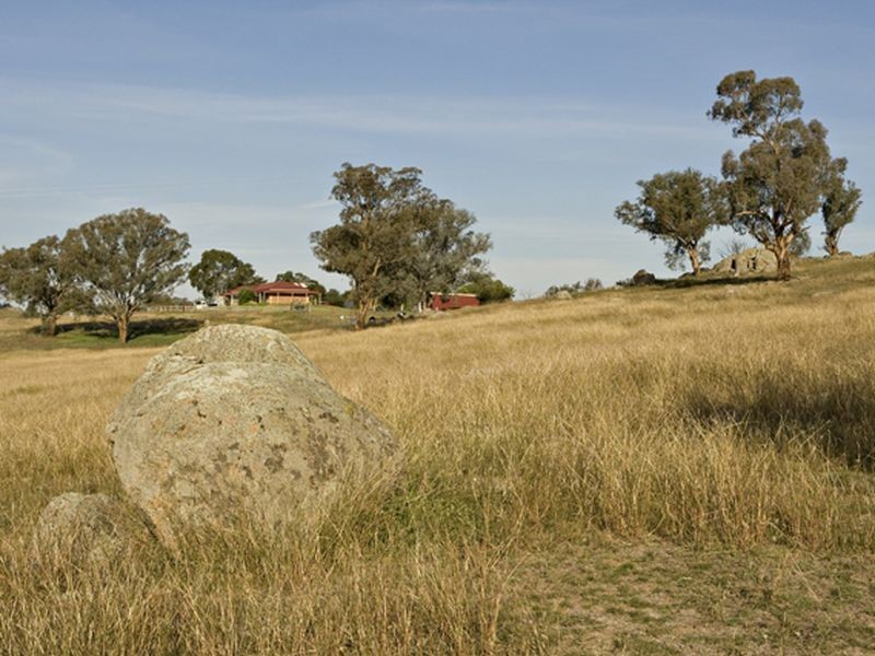 500 Chillingworks Road, Young NSW 2594