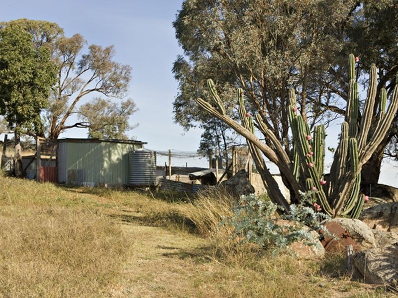 500 Chillingworks Road, Young NSW 2594