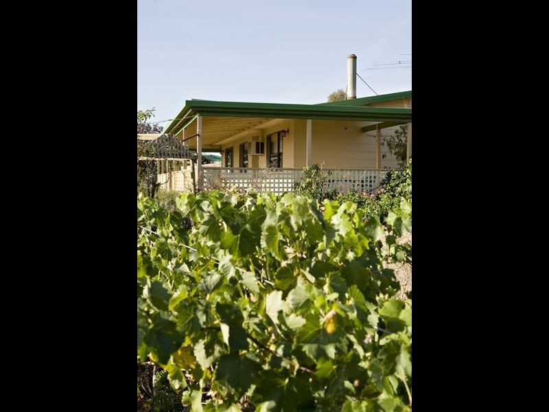 500 Chillingworks Road, Young NSW 2594