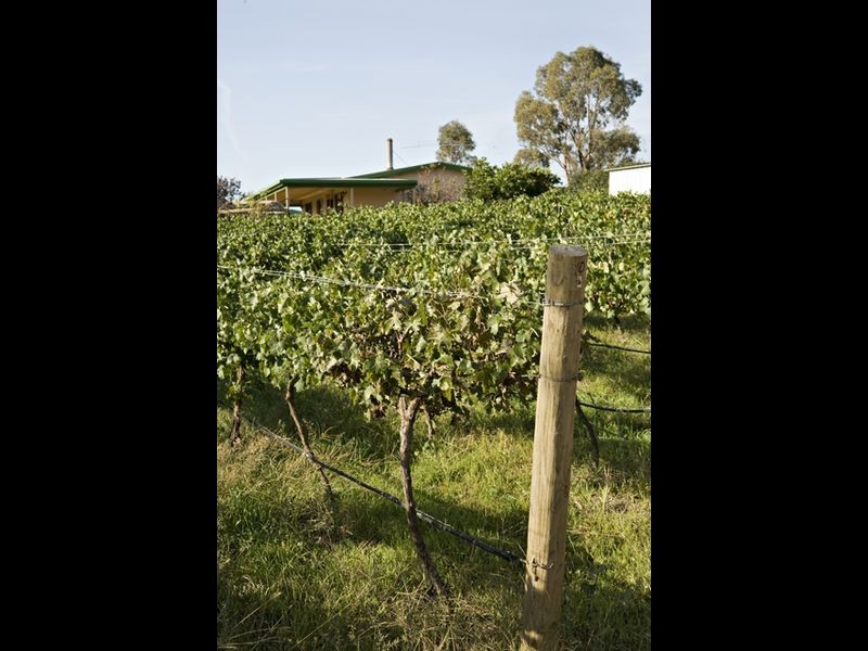 500 Chillingworks Road, Young NSW 2594