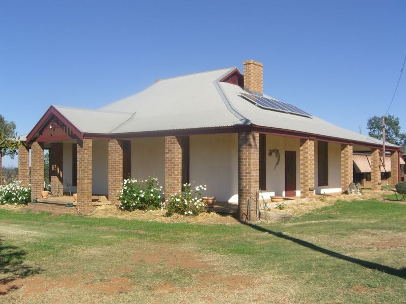 2700 Tubbul Rd, Young NSW 2594