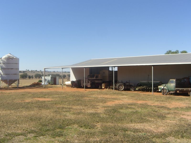 2700 Tubbul Rd, Young NSW 2594