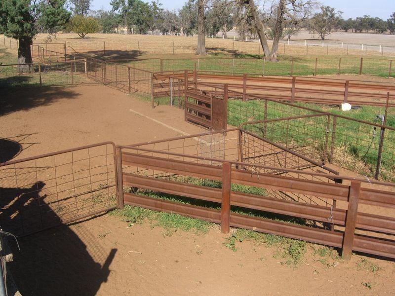 2700 Tubbul Rd, Young NSW 2594