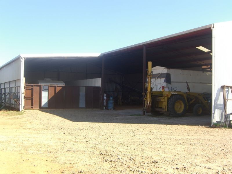 2700 Tubbul Rd, Young NSW 2594