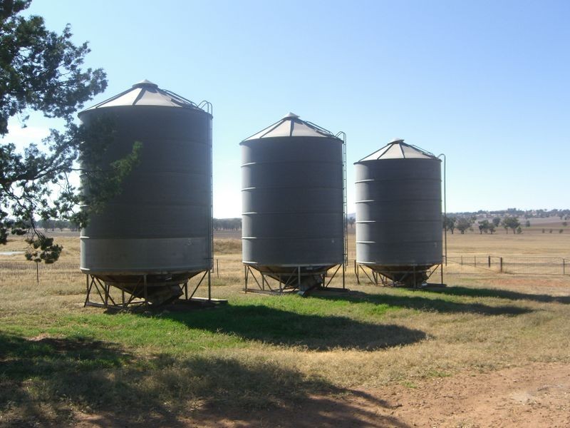 2700 Tubbul Rd, Young NSW 2594