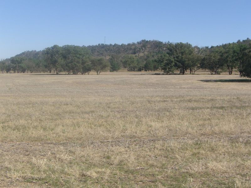 2700 Tubbul Rd, Young NSW 2594