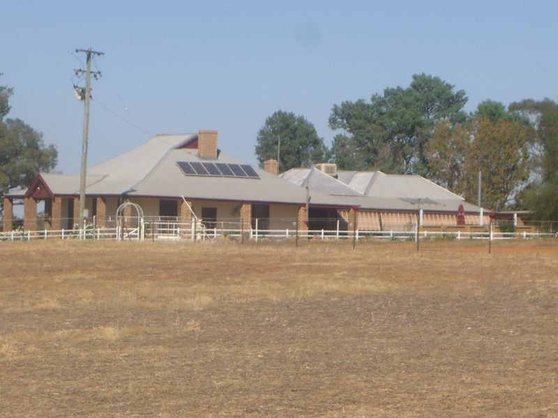 2700 Tubbul Rd, Young NSW 2594