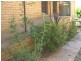 60 Fontenoy Street, Young NSW 2594