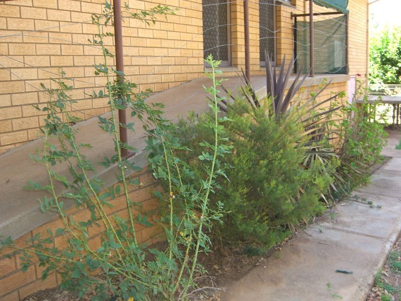 60 Fontenoy Street, Young NSW 2594