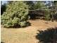 60 Fontenoy Street, Young NSW 2594