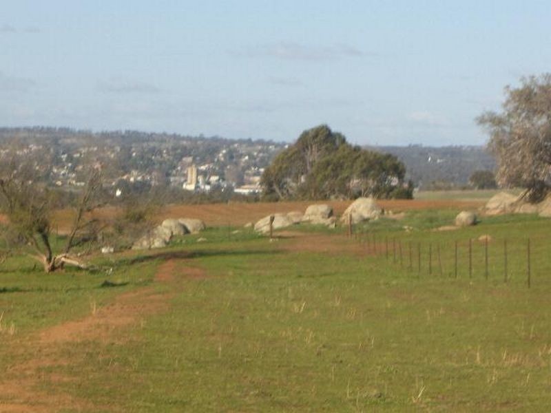 00 KilmarnockTemora Road, Young NSW 2594