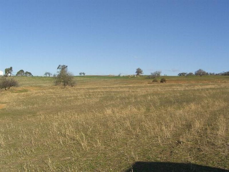 00 KilmarnockTemora Road, Young NSW 2594