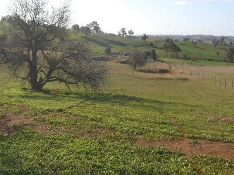 00 KilmarnockTemora Road, Young NSW 2594