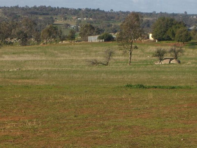 00 KilmarnockTemora Road, Young NSW 2594