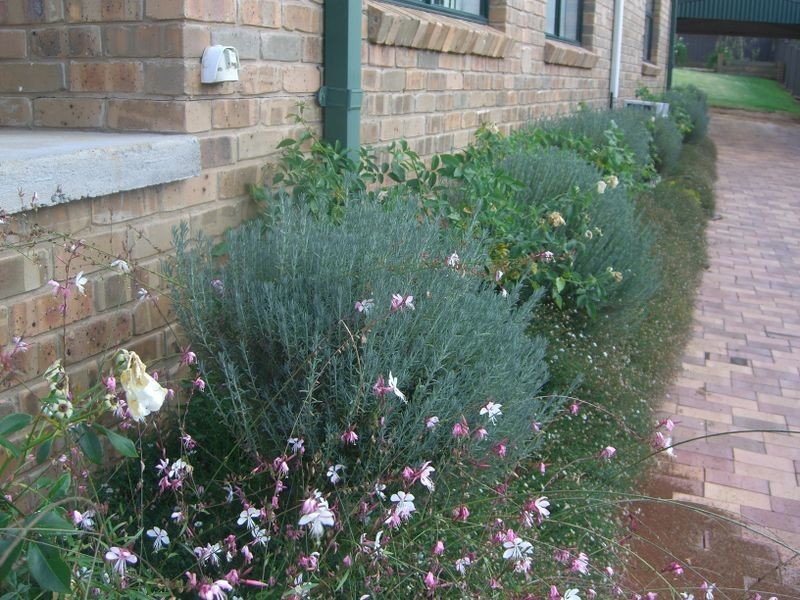 33 Cowper Street, Young NSW 2594