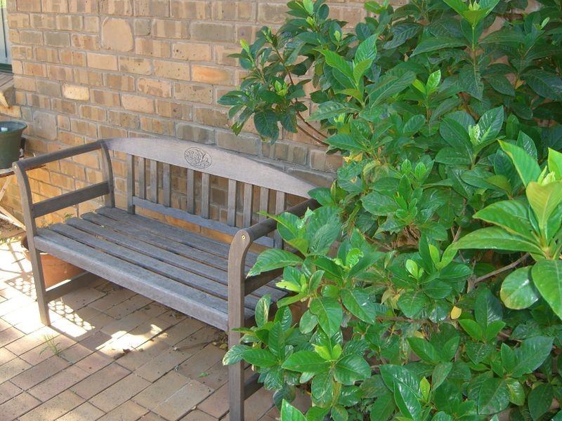 33 Cowper Street, Young NSW 2594