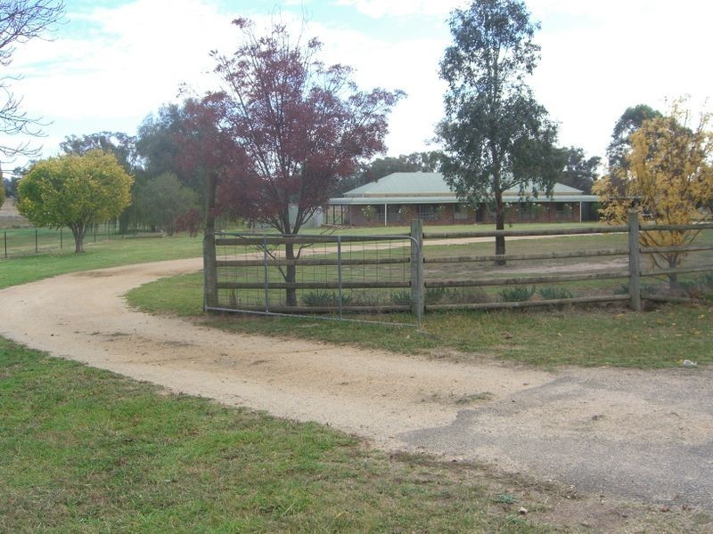 1257 Scenic Road, Young NSW 2594