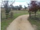 1257 Scenic Road, Young NSW 2594